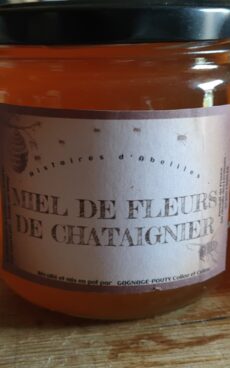 Miel de chataigner