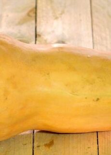 Courge Butternut