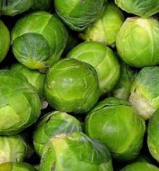 Chou de Bruxelles