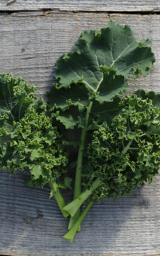Chou Kale