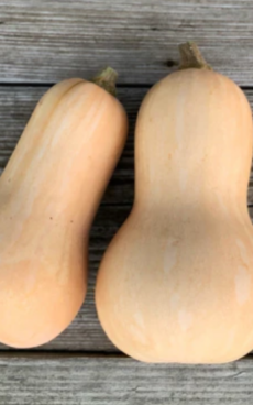 2 petits Butternuts