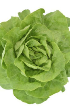 Laitue (petite pièce)