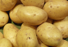 Pommes de terre