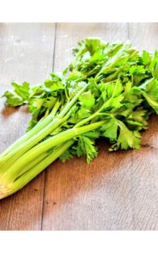Céleri branche (bouquet)