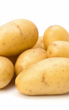 Pomme de terre nouvelle