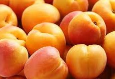 Abricots (bio)