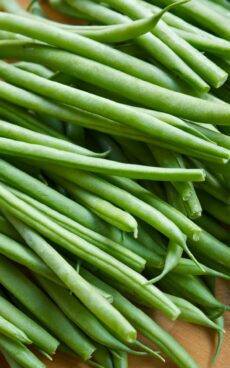 Haricots vert frais