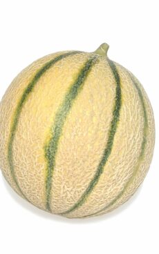 Melon