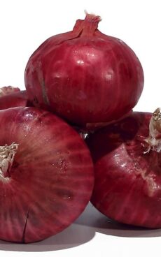 Oignon rouge