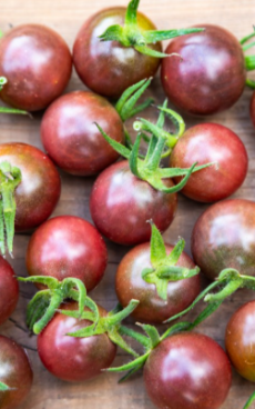 Tomates cerise