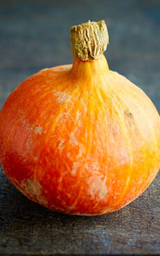 Potimarron