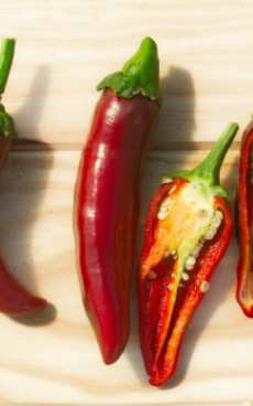 Piment Hungarian